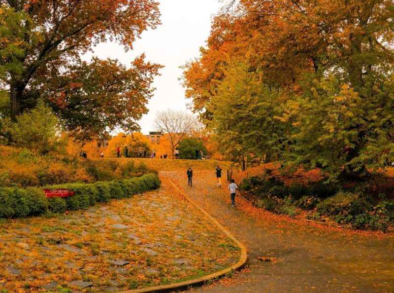 Fort Greene Park