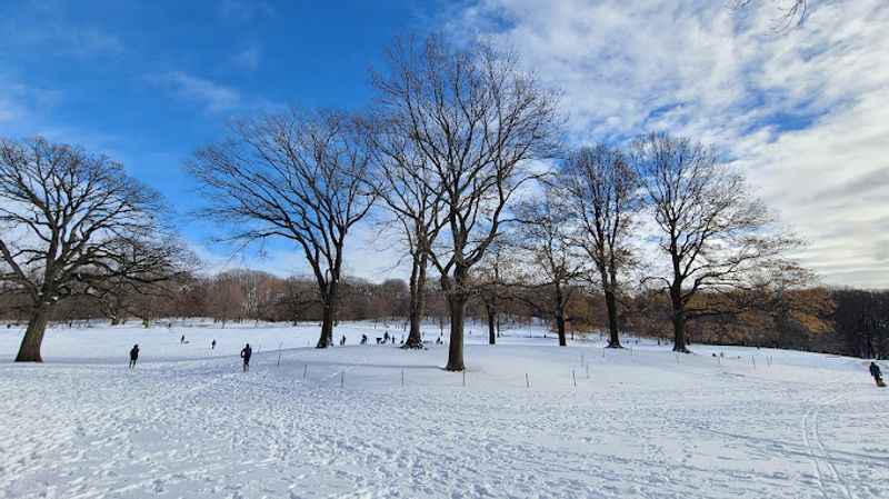  Prospect Park