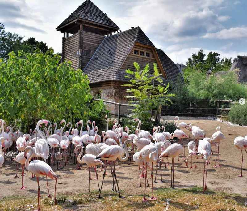 Budapest Zoo and Botanical Garden