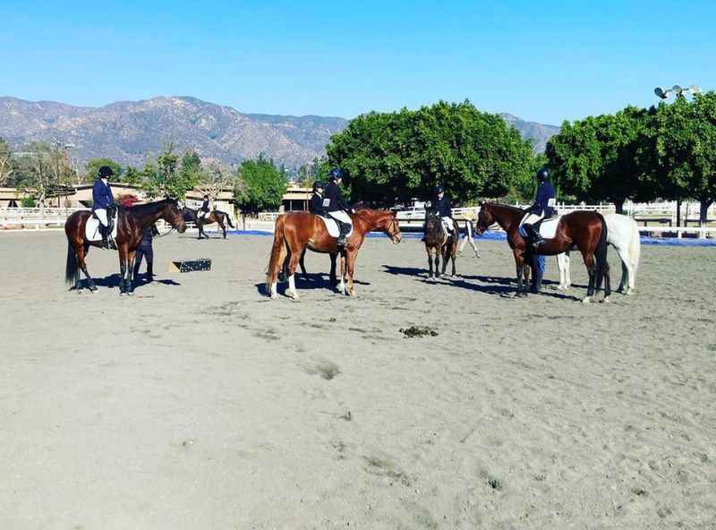 Traditional Equitation School