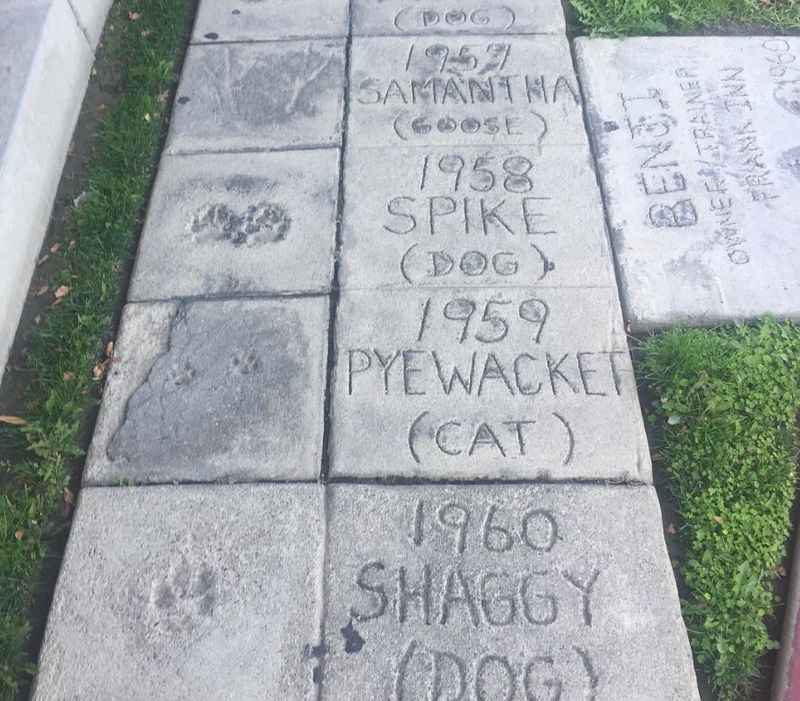 Animal Walk of Fame