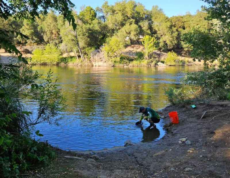 Gold Mining in Sacramento