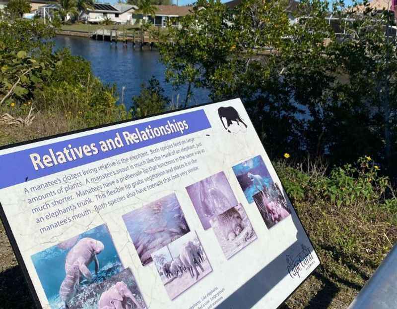 Sirenia Vista Park in Cape Coral