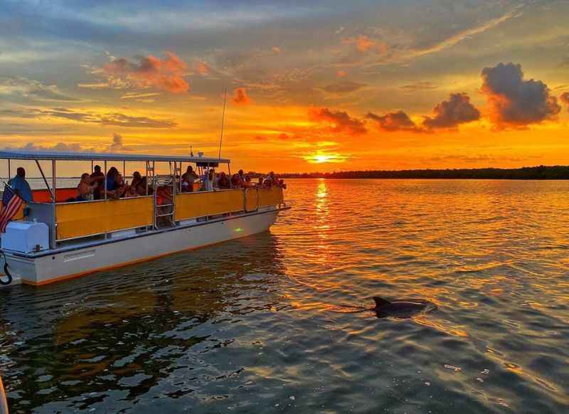 Cape Coral's Dolphin Cruises