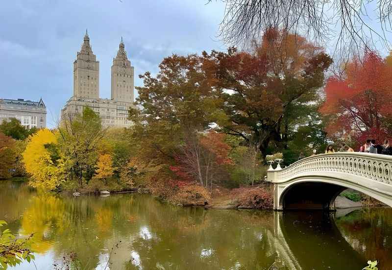 Central Park Bridge