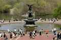 Bethesda Terrace and Fountain