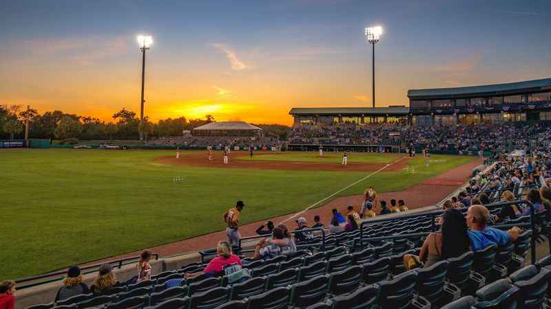 Charleston RiverDogs