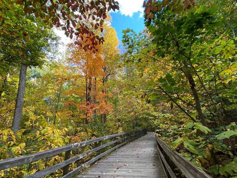 Saunders-Monticello Trail