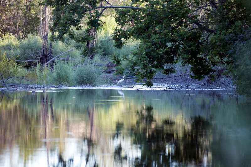 Butte Creek Ecological Preserve