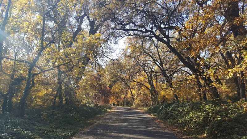 One Mile Recreation Area