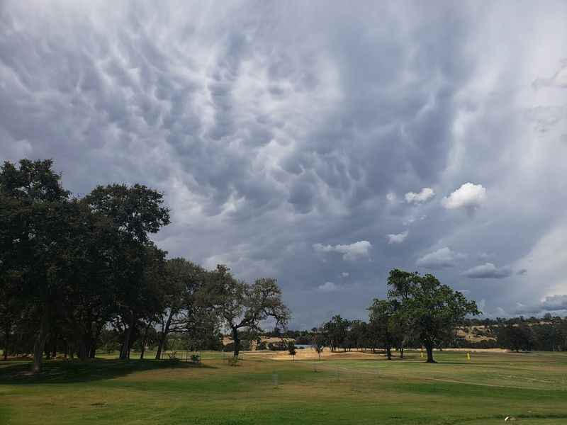 Chico Municipal Golf Course