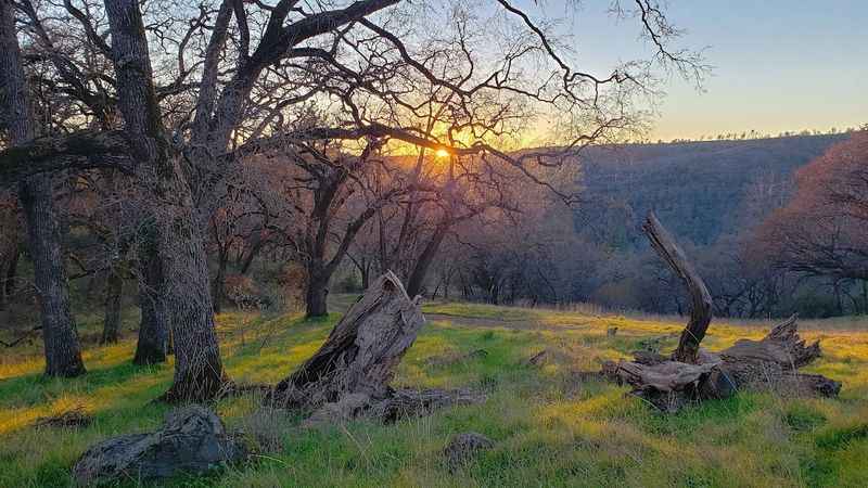 Big Chico Creek Ecological Reserve