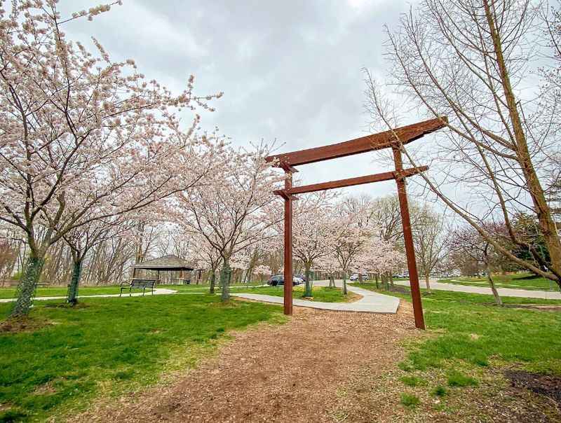 Ault Park Airy Forest