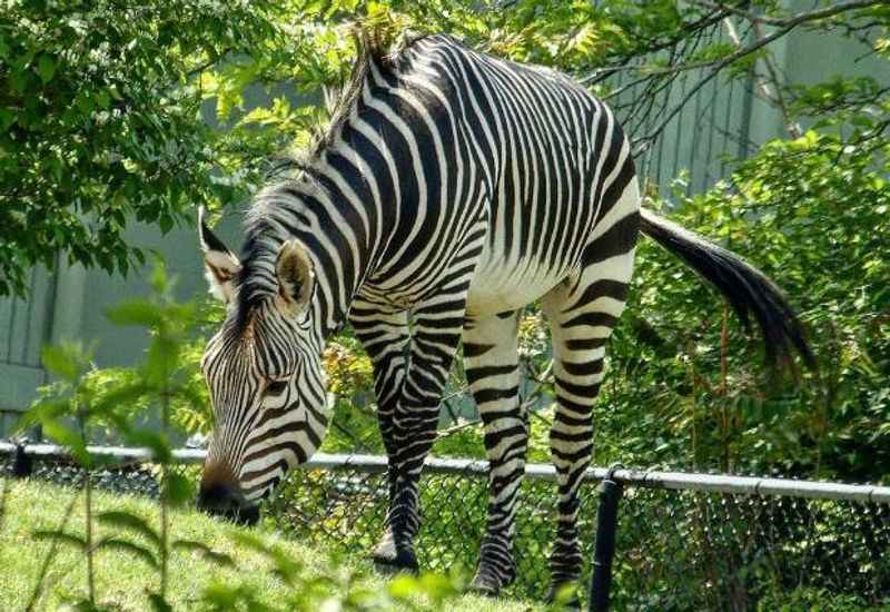 Cleveland Metroparks Zoo