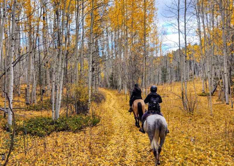 Horseback Ride Through the Colorado Wilderness