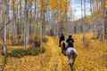 Horseback Ride Through the Colorado Wilderness