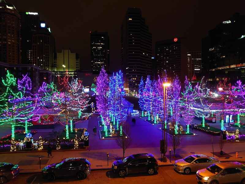 trees with different colors of christmas lights