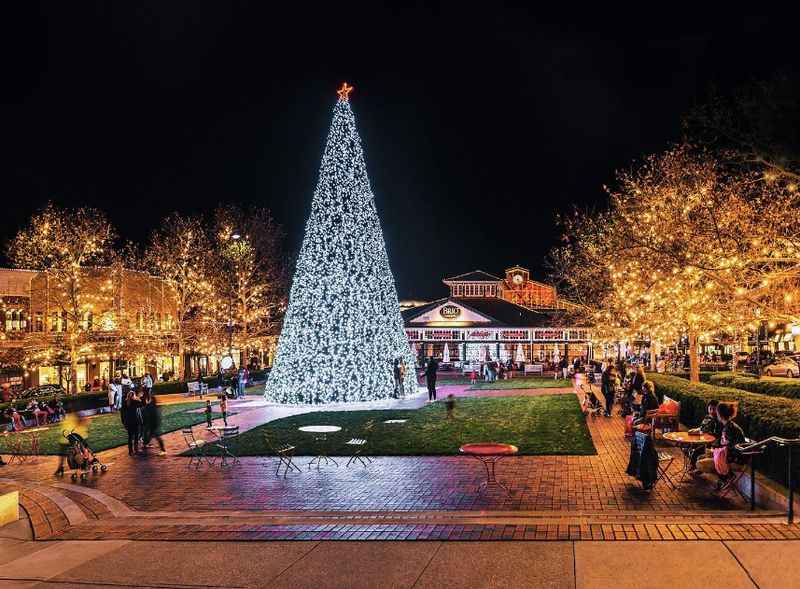 Christmas tree with lights in the middle of the park