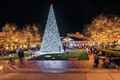 Christmas tree with lights in the middle of the park