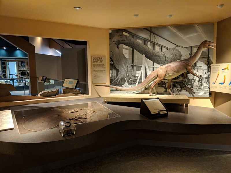 Dinosaur State Park