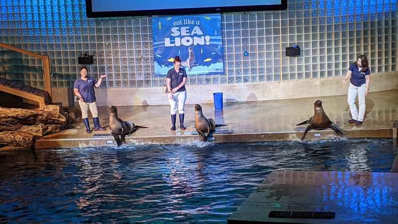Mystic Aquarium