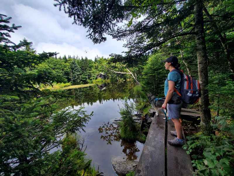 Appalachian National Scenic Trail