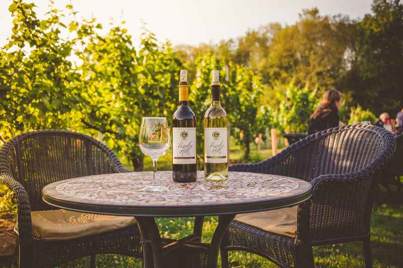 Paradise Hills Vineyard & Winery