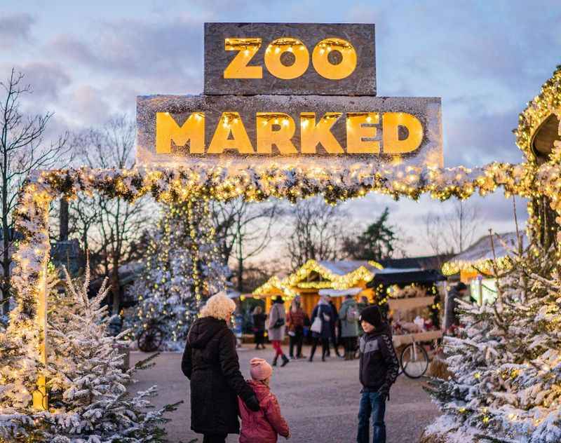 Copenhagen Zoo By Night