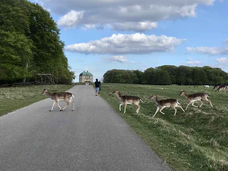 Jægersborg Dyrehave