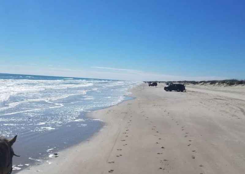 wavea along the shore with horse footprints on the sand