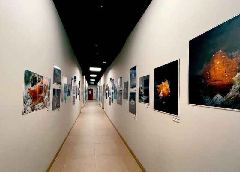 Cozumel Island Museum