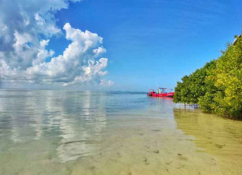 Boat Tour to Isla de la Pasion