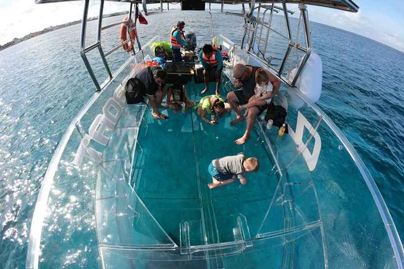 Glass-Bottom Boat Tour