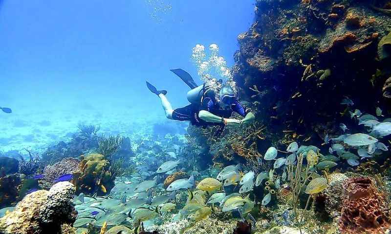 Arrecifes de Cozumel National Park