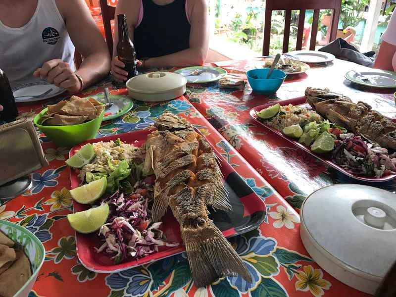 Cozumel Chef Food Tours