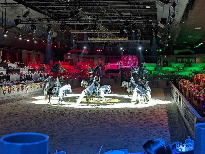 a group of people watching a horse show