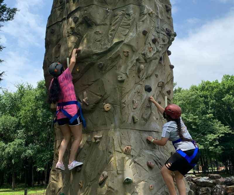 Trinity Forest Adventure Park