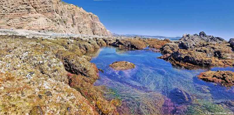 Tidepools near Dana Point Cave