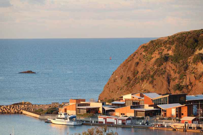 Dana Point Ocean Institute