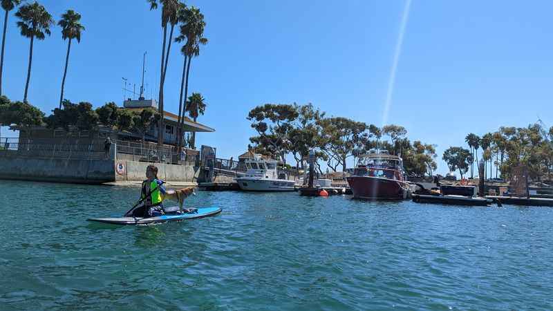 Pure Watersports - Dana Point