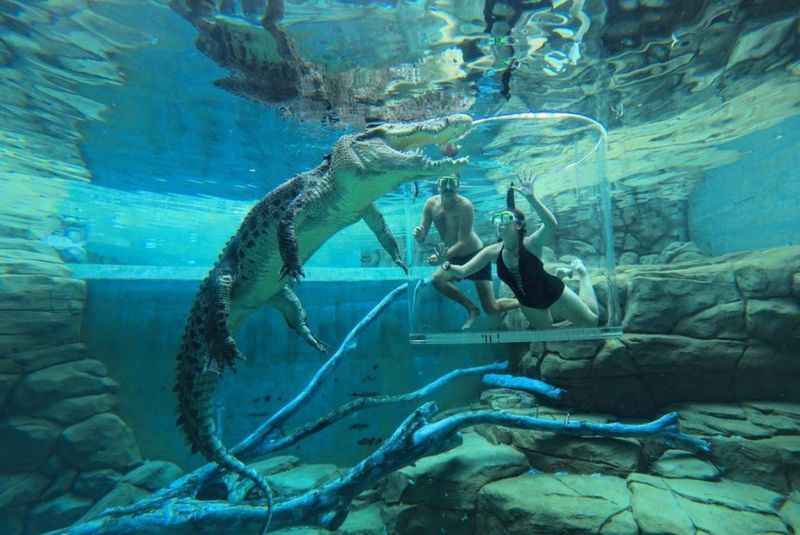 Crocosaurus Cove