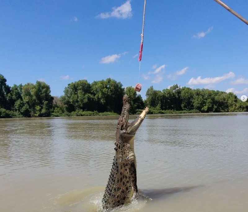 Jumping Crocodile Cruise