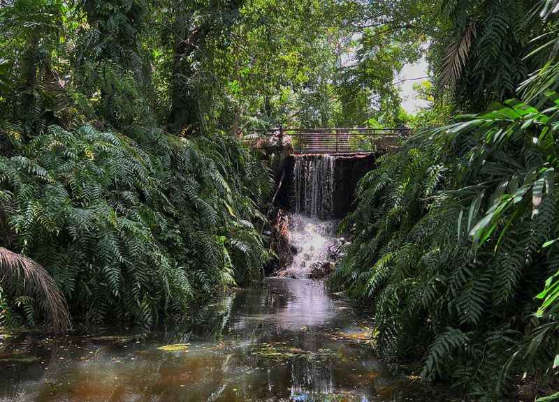 Darwin Botanic Gardens