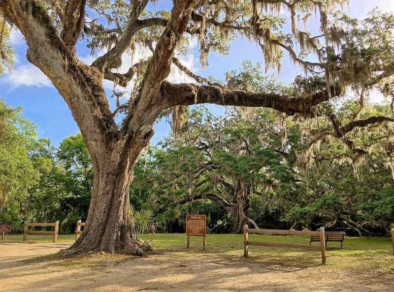 Bulow Creek State Park