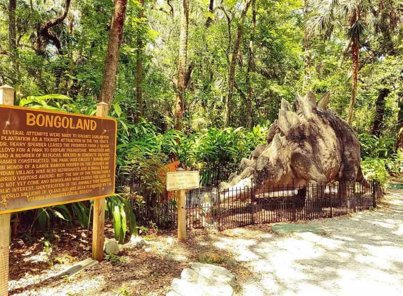 a signboard about Bongoland in the middle of a forest