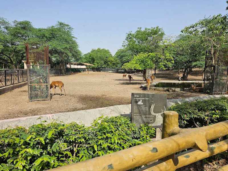 National Zoological Park of New Delhi