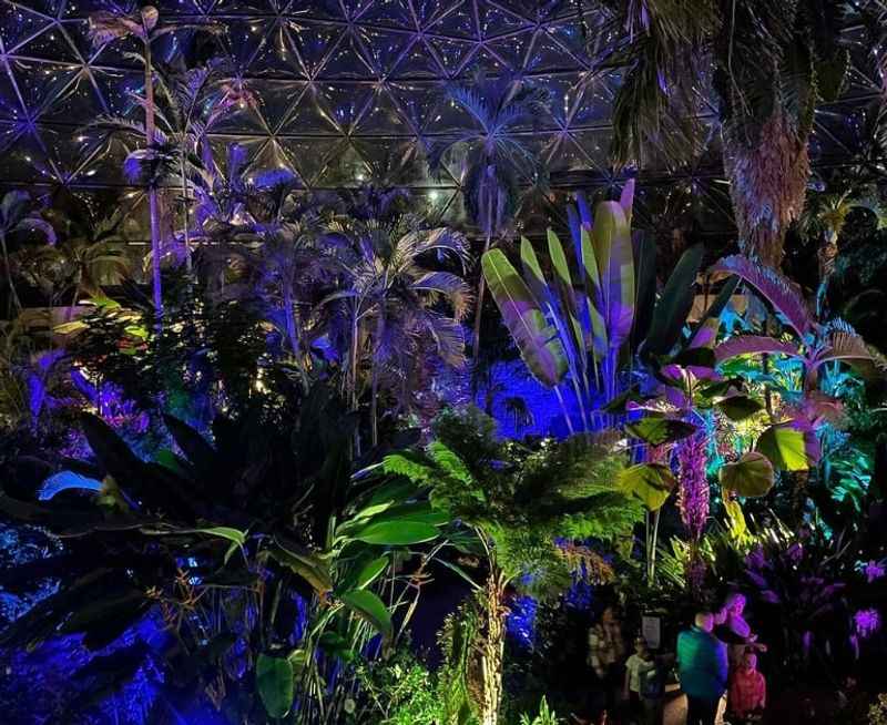 a large display of plants and plants in a greenhouse