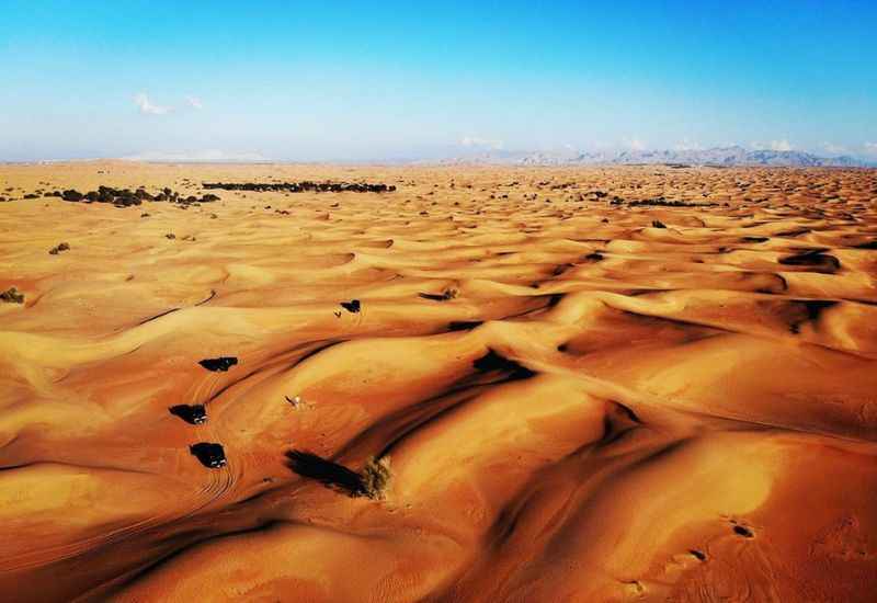 Dubai Desert Conservation Reserve