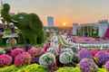 Dubai Miracle Garden