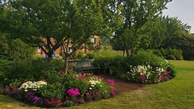 a bench in a garden with flowers and trees